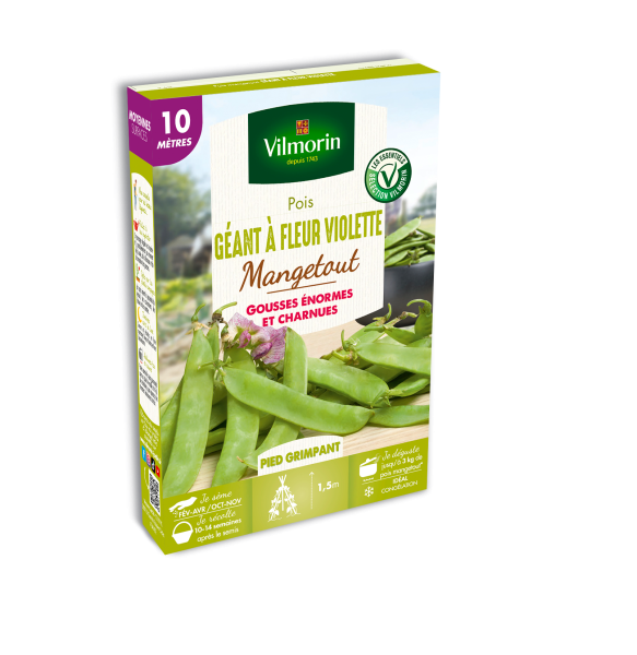 Légumes Secs - Pois Mangetout Géant à Fleur Violette - 10 m - PACKAGING_3D_RECTO